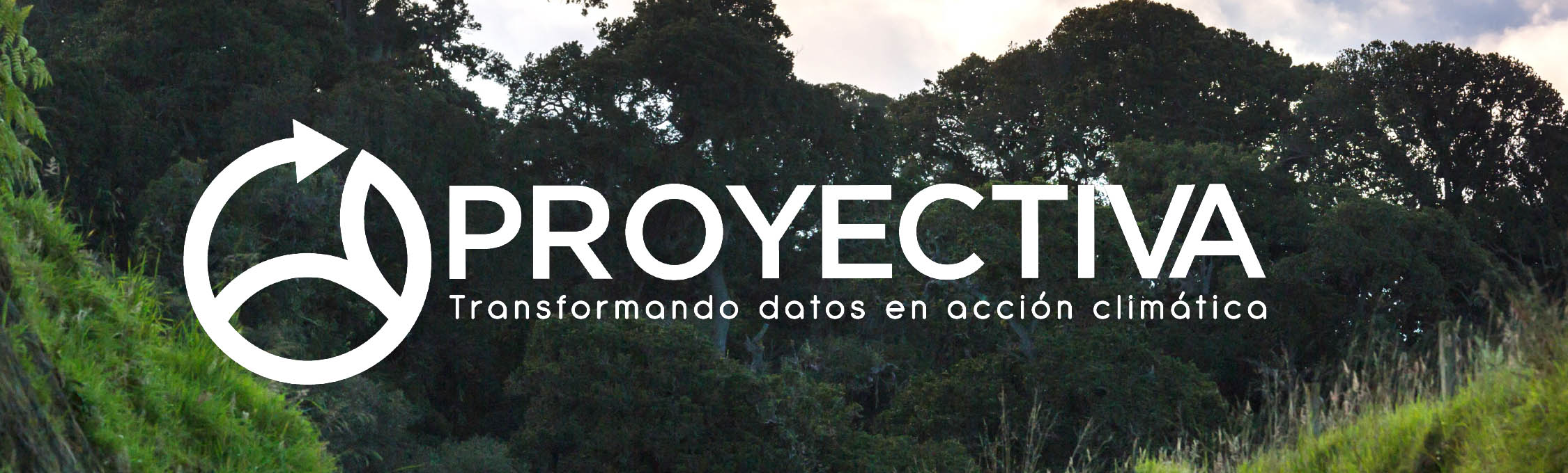 Proyectiva: transformando datos en acción climática